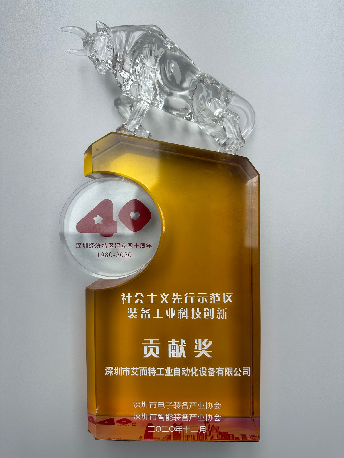 艾而特-2020年社會(huì)主義先行示范區(qū)貢獻(xiàn)獎(jiǎng)